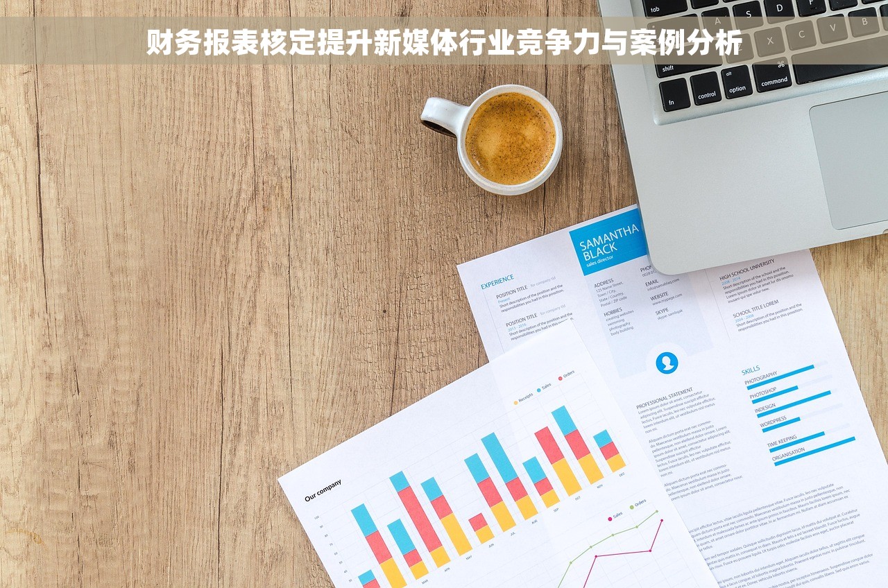 财务报表核定提升新媒体行业竞争力与案例分析