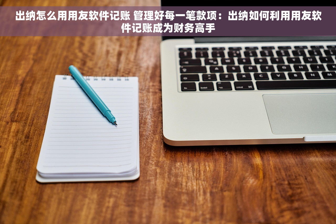 出纳怎么用用友软件记账 管理好每一笔款项：出纳如何利用用友软件记账成为财务高手