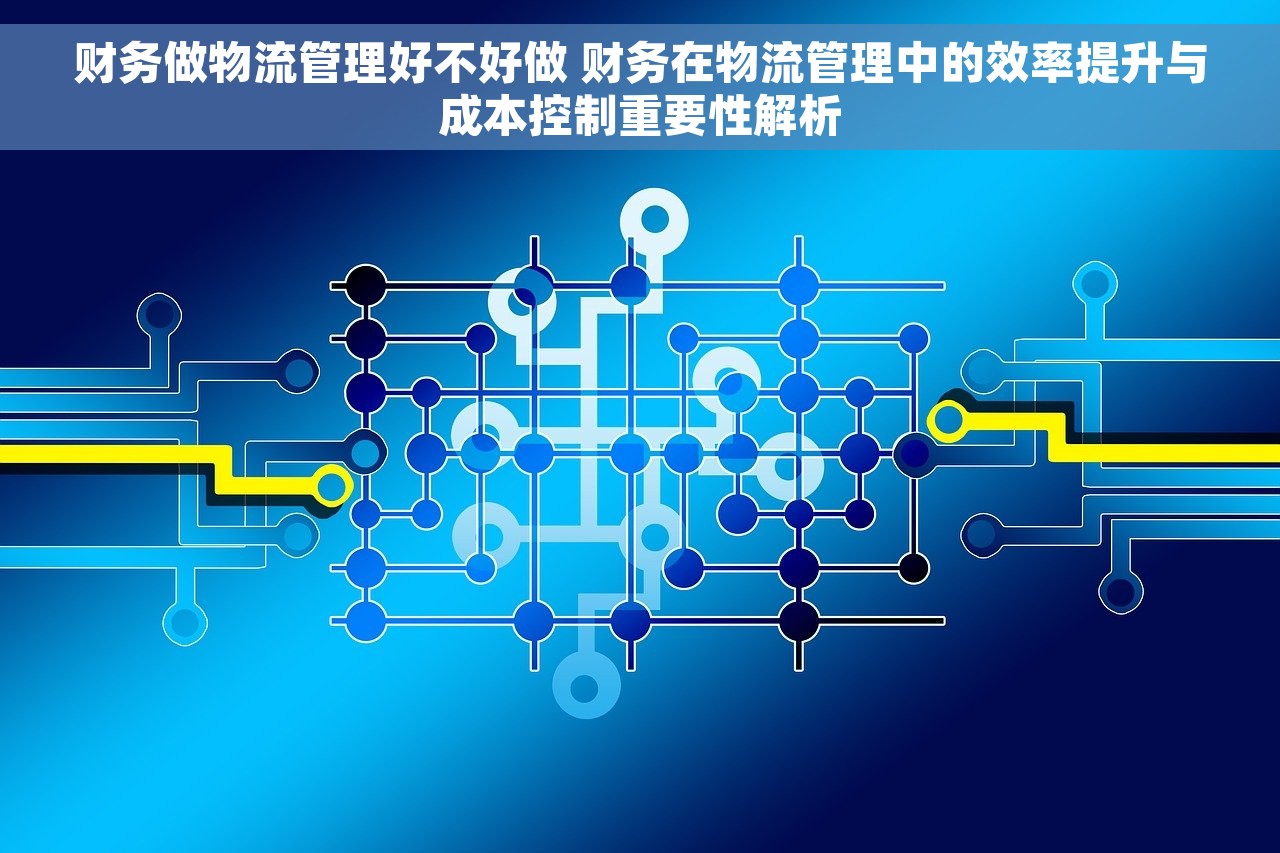财务做物流管理好不好做 财务在物流管理中的效率提升与成本控制重要性解析