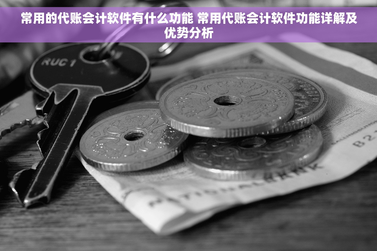 常用的代账会计软件有什么功能 常用代账会计软件功能详解及优势分析