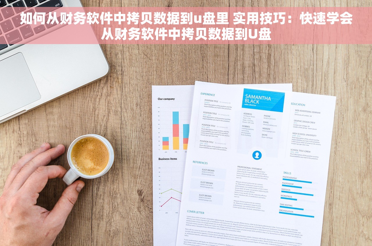 如何从财务软件中拷贝数据到u盘里 实用技巧：快速学会从财务软件中拷贝数据到U盘