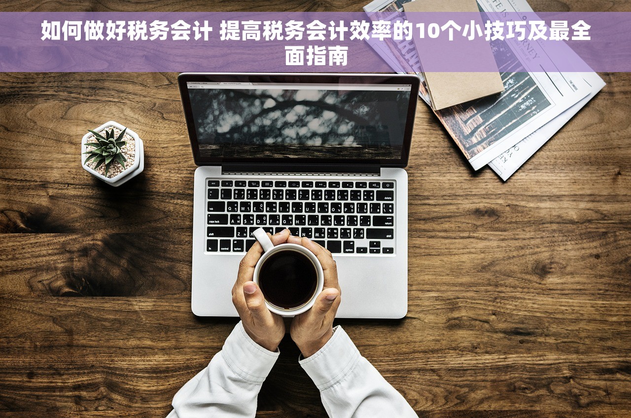如何做好税务会计 提高税务会计效率的10个小技巧及最全面指南