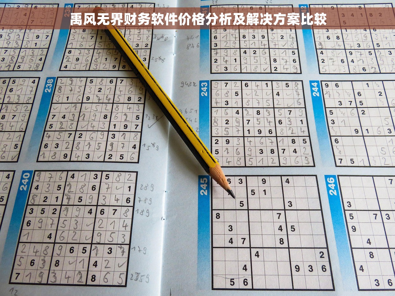 禹风无界财务软件价格分析及解决方案比较