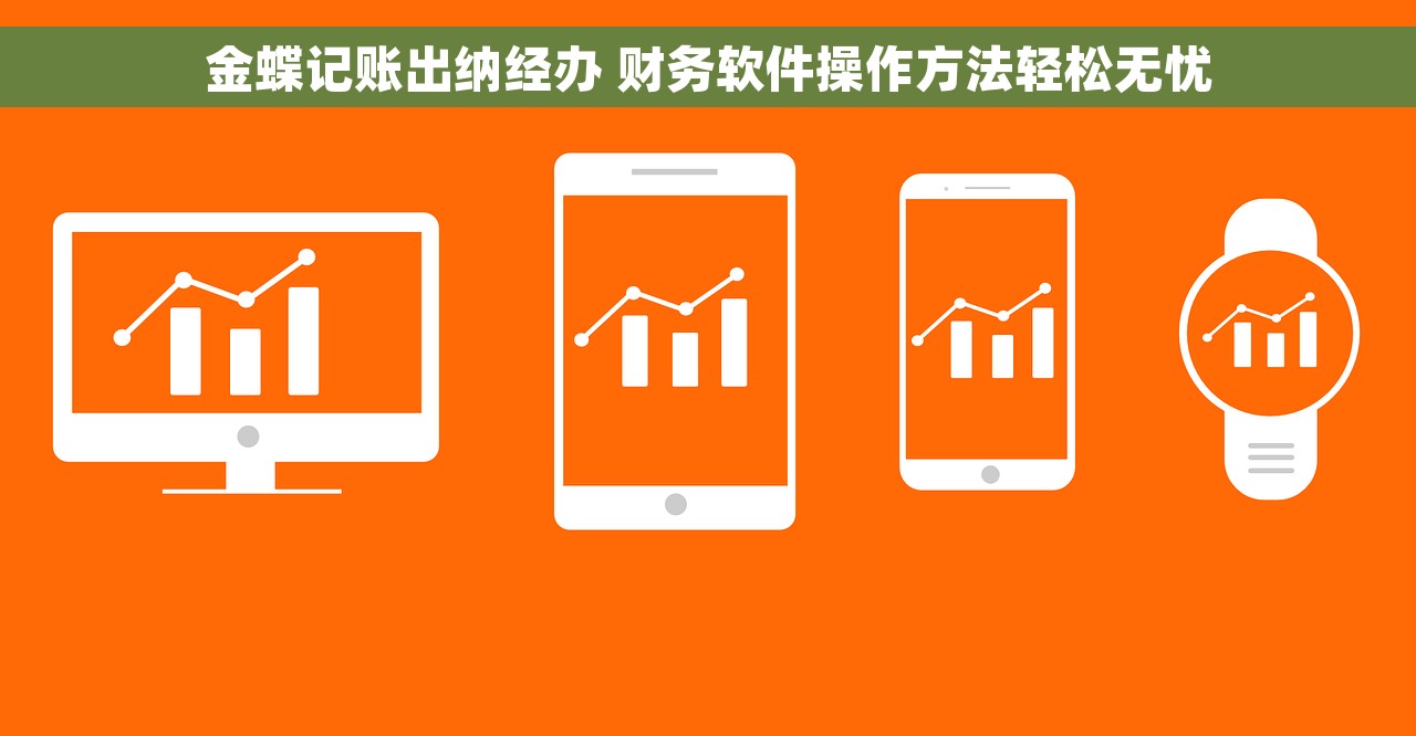 金蝶记账出纳经办 财务软件操作方法轻松无忧