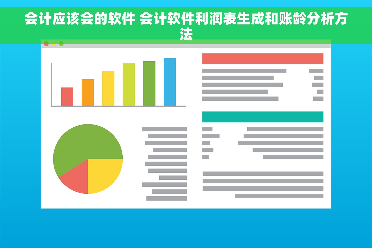 会计应该会的软件 会计软件利润表生成和账龄分析方法