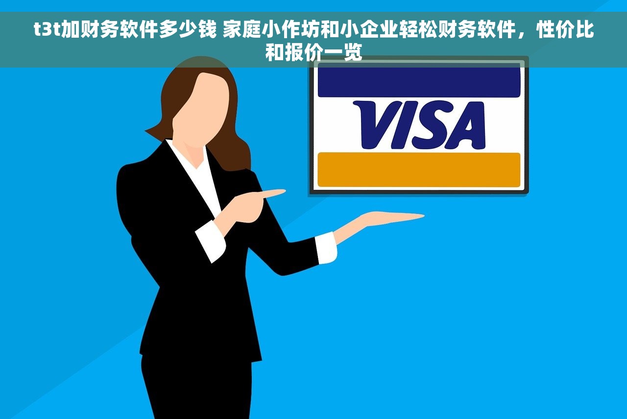 t3t加财务软件多少钱 家庭小作坊和小企业轻松财务软件，性价比和报价一览