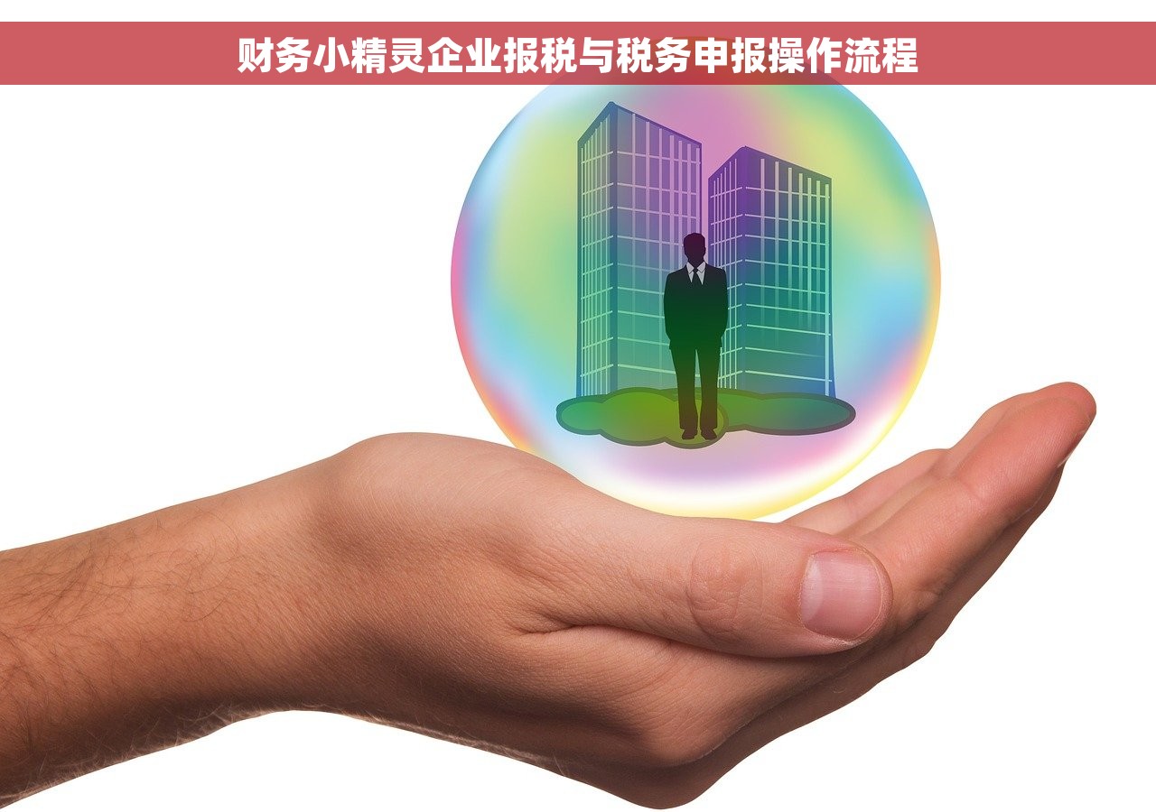 财务小精灵企业报税与税务申报操作流程