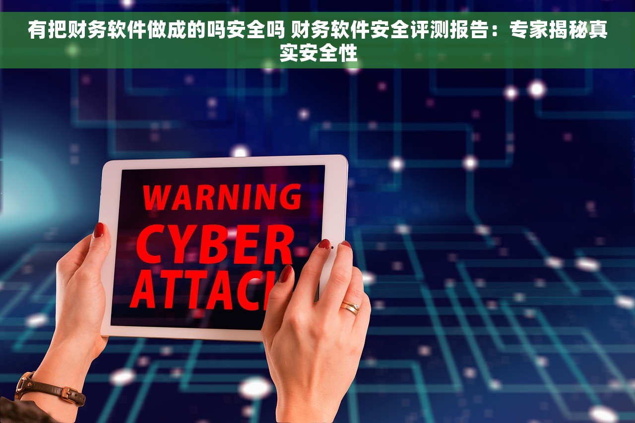 有把财务软件做成的吗安全吗 财务软件安全评测报告：专家揭秘真实安全性