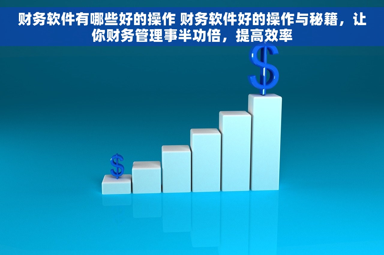 财务软件有哪些好的操作 财务软件好的操作与秘籍，让你财务管理事半功倍，提高效率