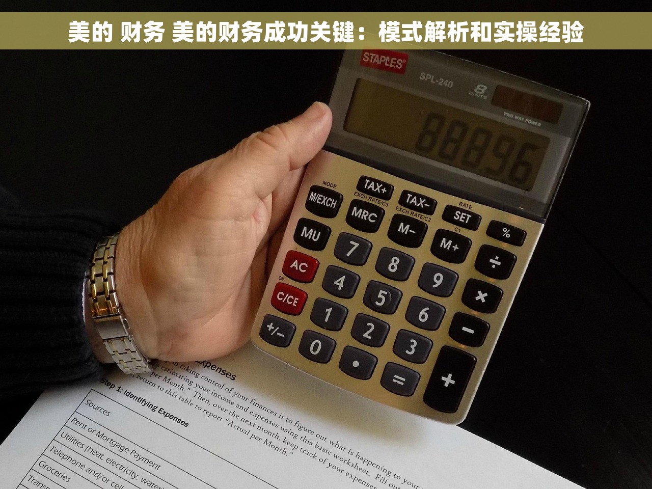 美的 财务 美的财务成功关键：模式解析和实操经验