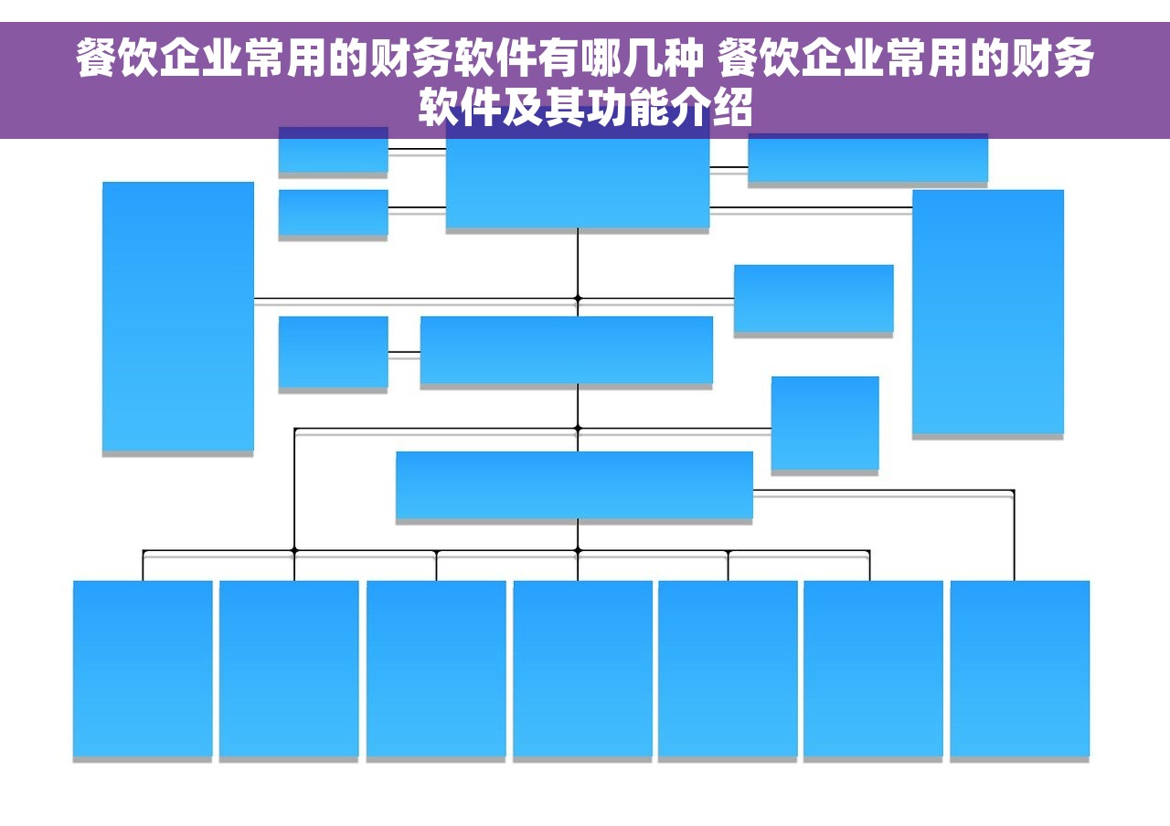 餐饮企业常用的财务软件有哪几种 餐饮企业常用的财务软件及其功能介绍