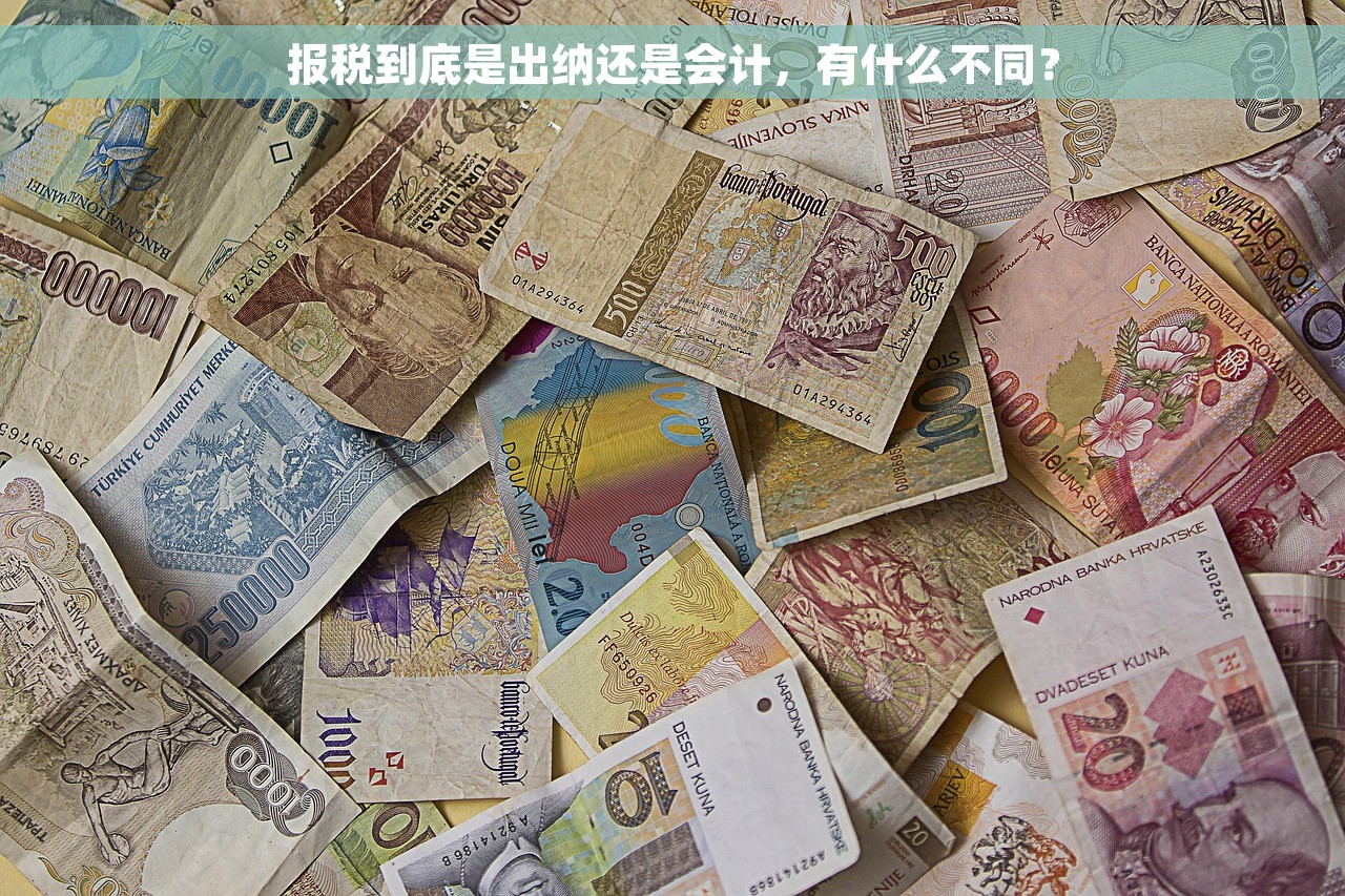 报税到底是出纳还是会计，有什么不同？