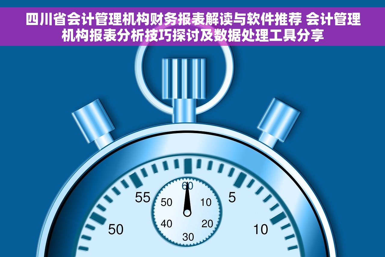 四川省会计管理机构财务报表解读与软件推荐 会计管理机构报表分析技巧探讨及数据处理工具分享