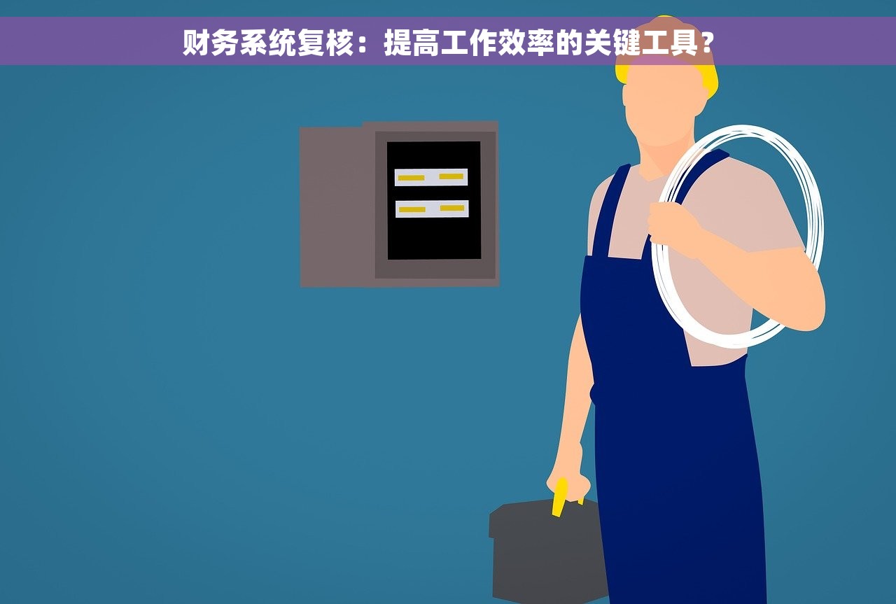 财务系统复核：提高工作效率的关键工具？