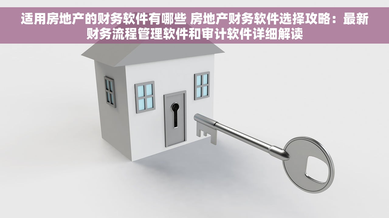 适用房地产的财务软件有哪些 房地产财务软件选择攻略：最新财务流程管理软件和审计软件详细解读