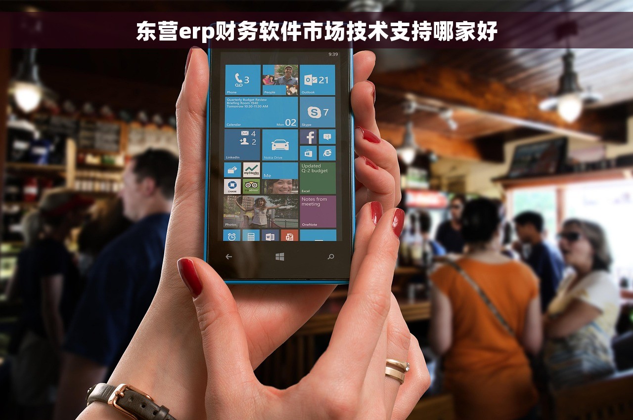 东营erp财务软件市场技术支持哪家好