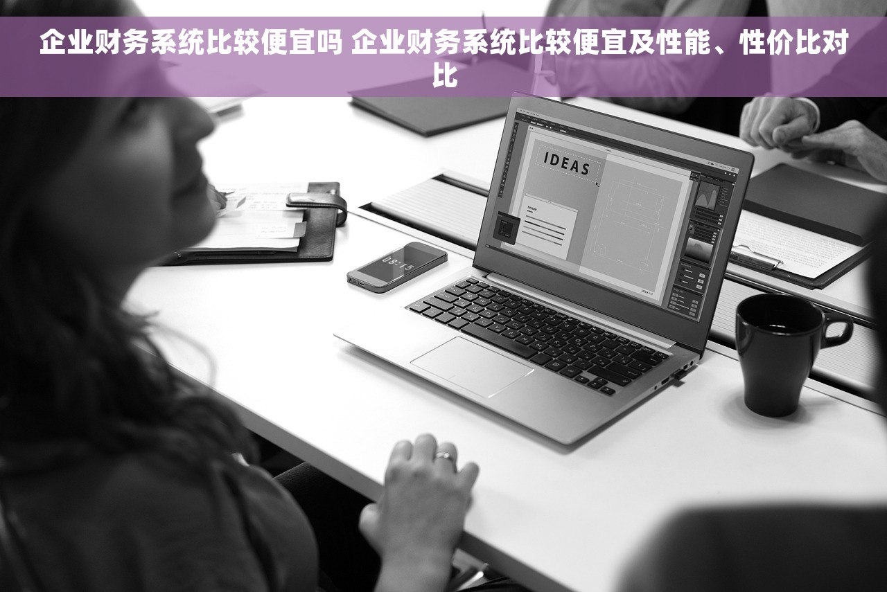 企业财务系统比较便宜吗 企业财务系统比较便宜及性能、性价比对比