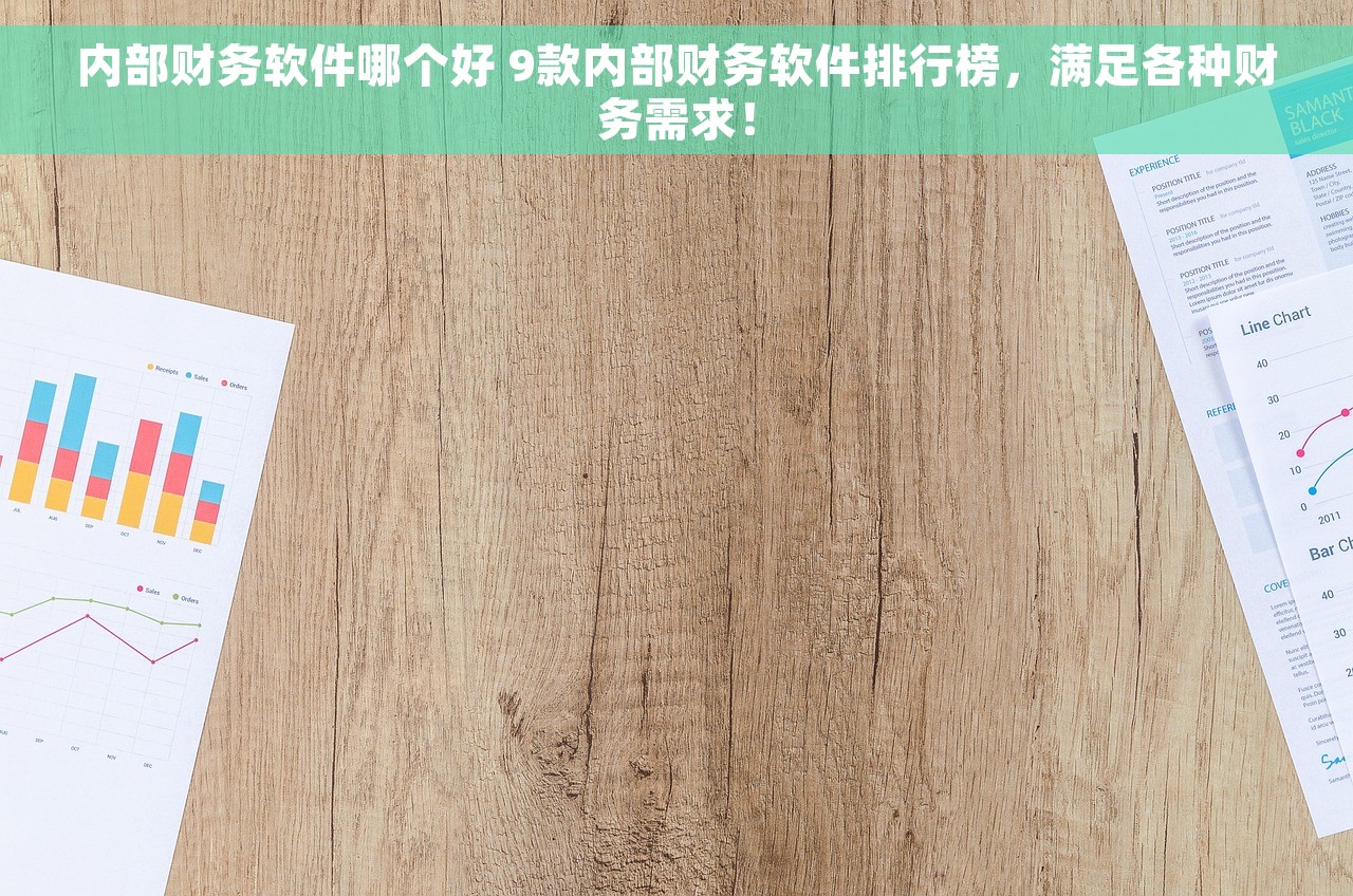 内部财务软件哪个好 9款内部财务软件排行榜，满足各种财务需求！