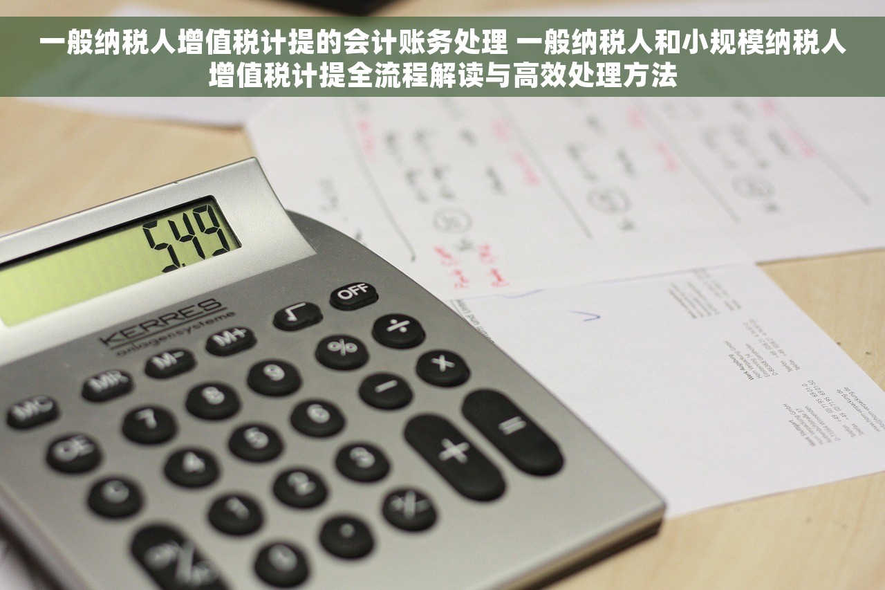 一般纳税人增值税计提的会计账务处理 一般纳税人和小规模纳税人增值税计提全流程解读与高效处理方法