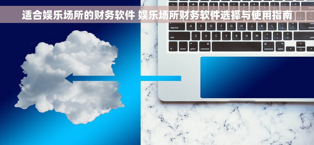 适合娱乐场所的财务软件 娱乐场所财务软件选择与使用指南