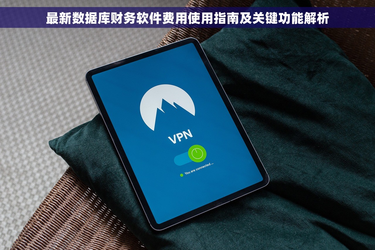 最新数据库财务软件费用使用指南及关键功能解析