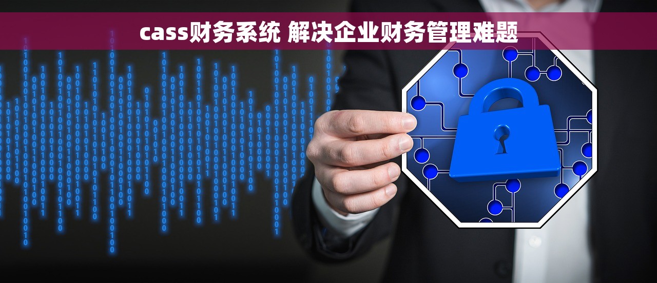 cass财务系统 解决企业财务管理难题