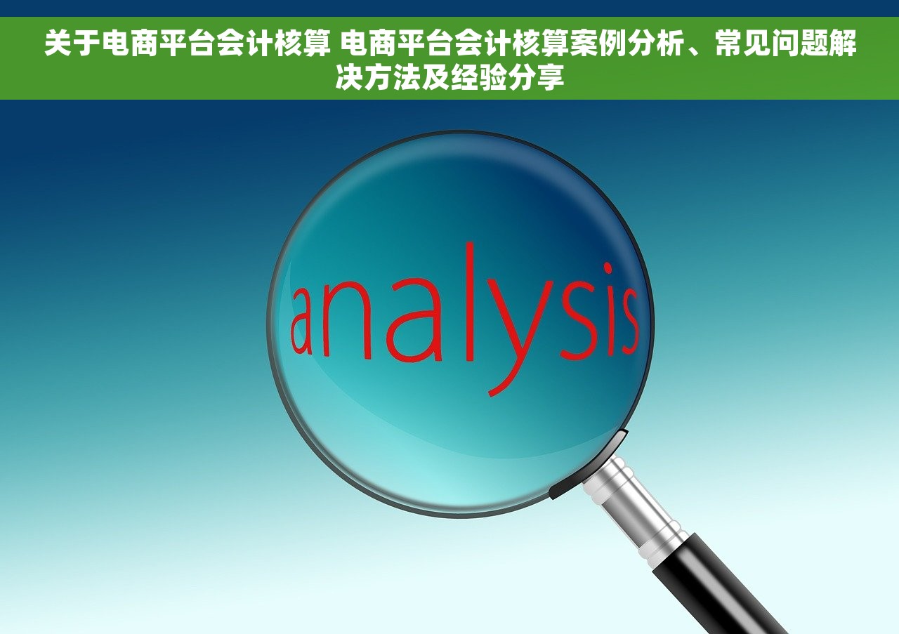 关于电商平台会计核算 电商平台会计核算案例分析、常见问题解决方法及经验分享