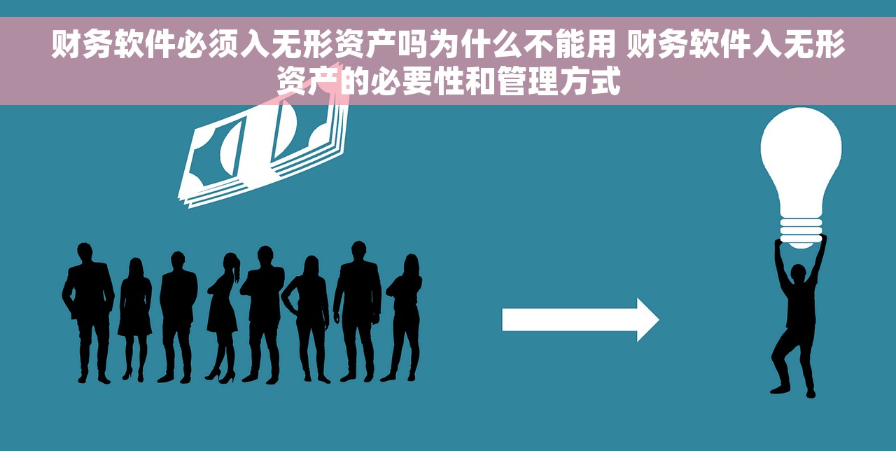 财务软件必须入无形资产吗为什么不能用 财务软件入无形资产的必要性和管理方式