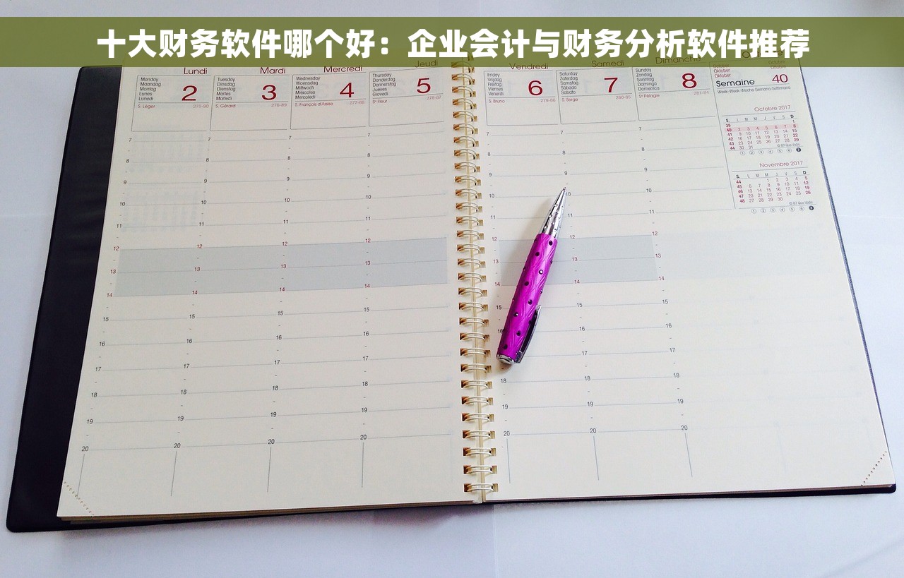 十大财务软件哪个好：企业会计与财务分析软件推荐