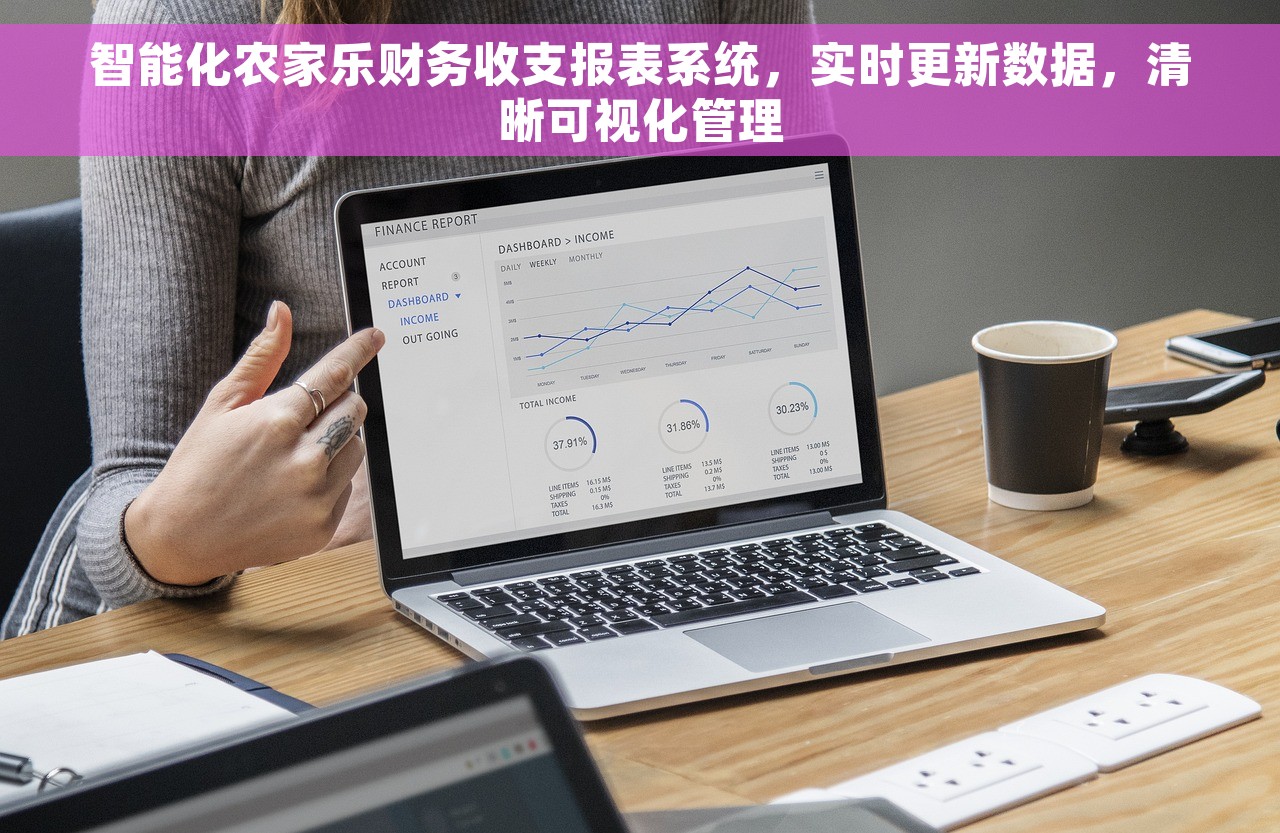 智能化农家乐财务收支报表系统，实时更新数据，清晰可视化管理