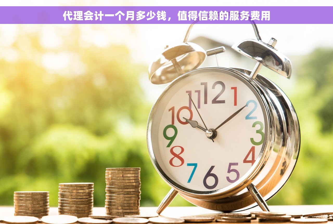 代理会计一个月多少钱，值得信赖的服务费用