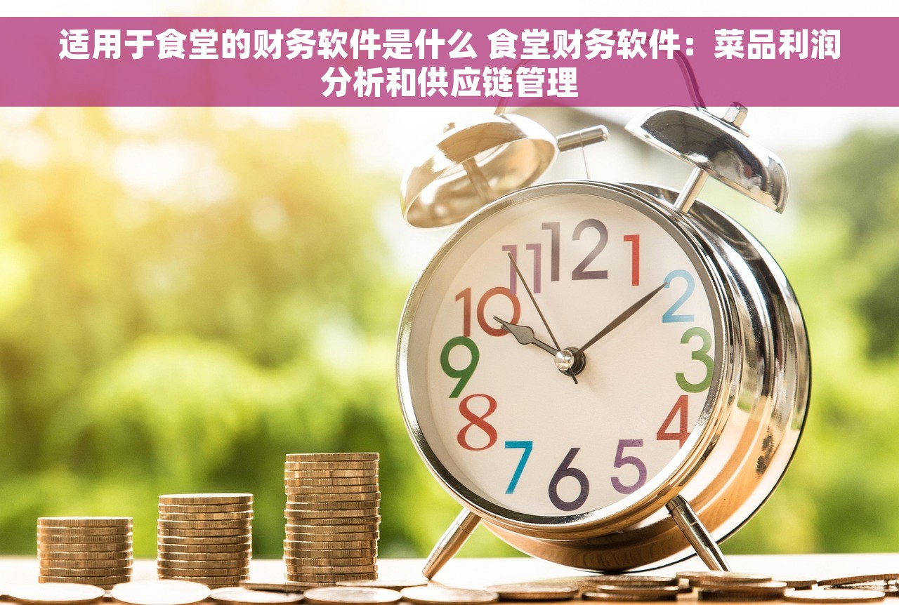 适用于食堂的财务软件是什么 食堂财务软件：菜品利润分析和供应链管理