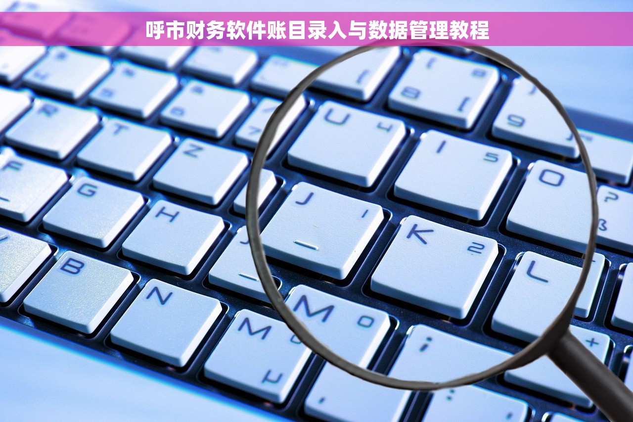 呼市财务软件账目录入与数据管理教程