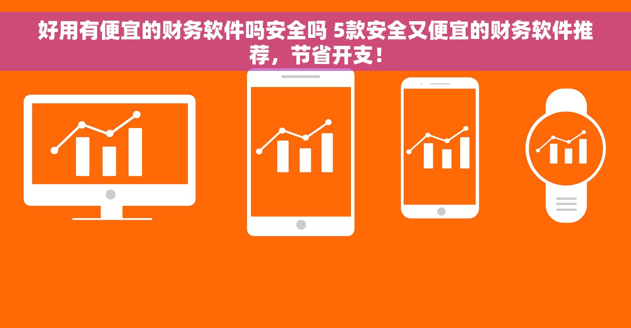 好用有便宜的财务软件吗安全吗 5款安全又便宜的财务软件推荐，节省开支！