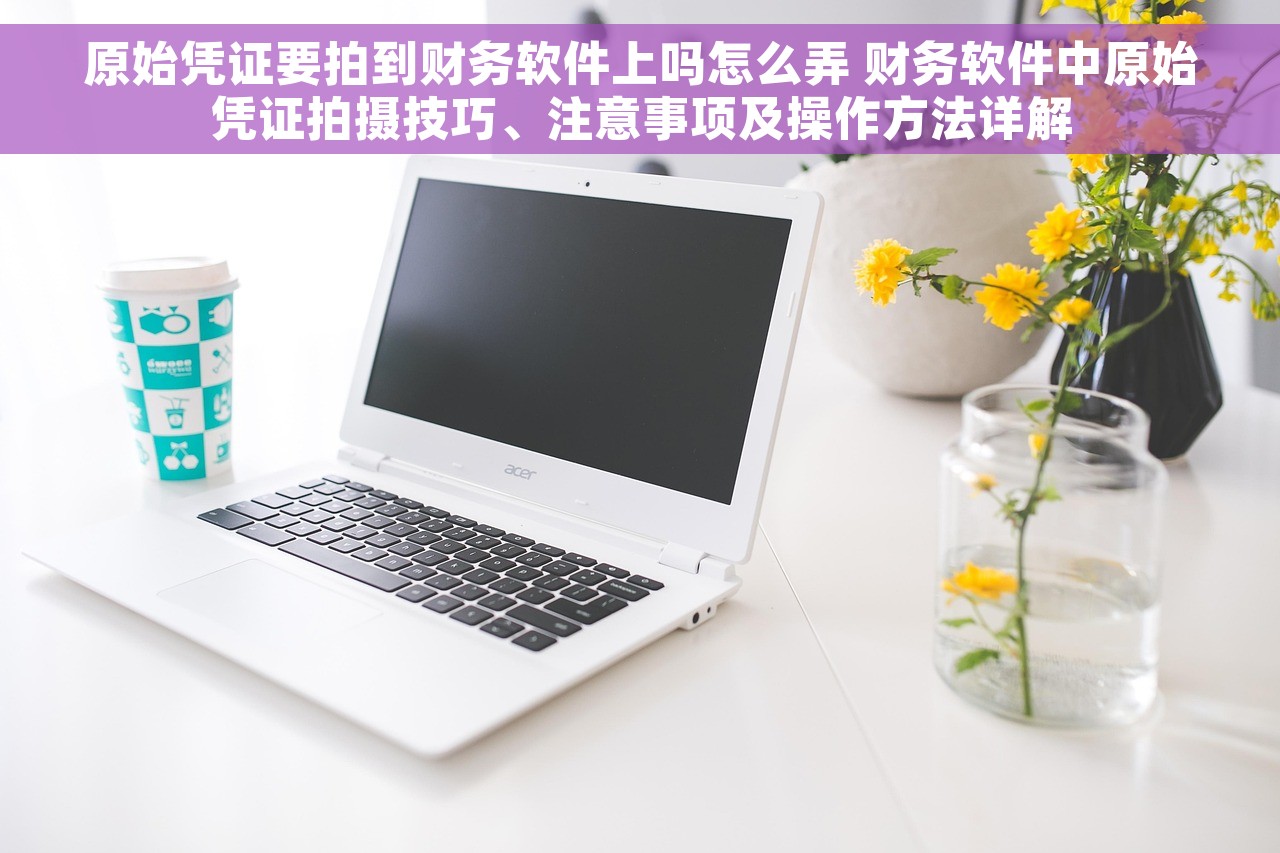 原始凭证要拍到财务软件上吗怎么弄 财务软件中原始凭证拍摄技巧、注意事项及操作方法详解