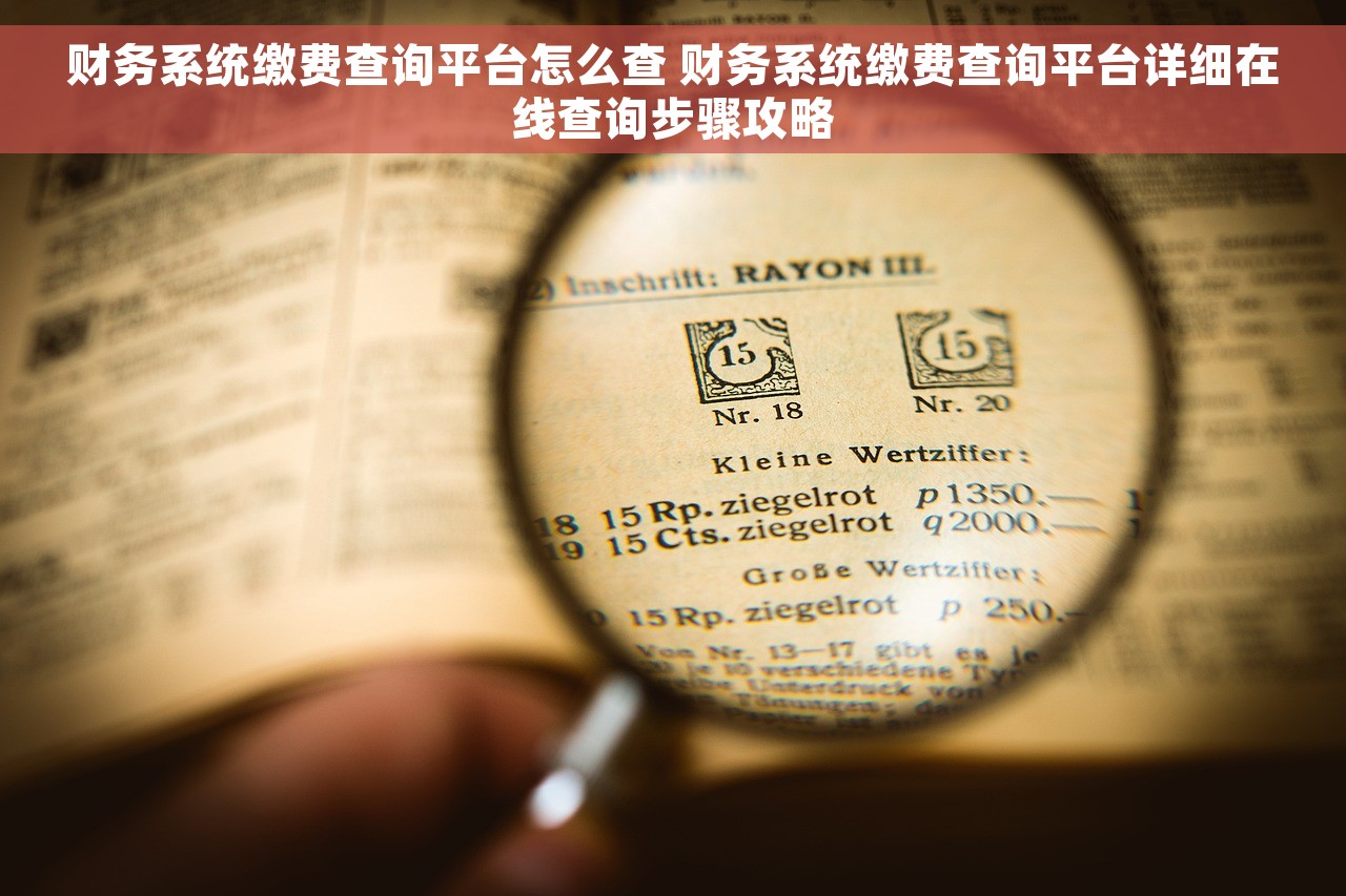 财务系统缴费查询平台怎么查 财务系统缴费查询平台详细在线查询步骤攻略