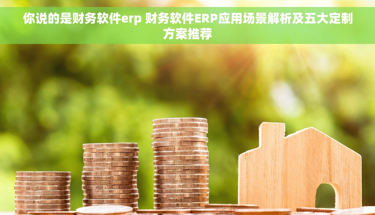 你说的是财务软件erp 财务软件ERP应用场景解析及五大定制方案推荐
