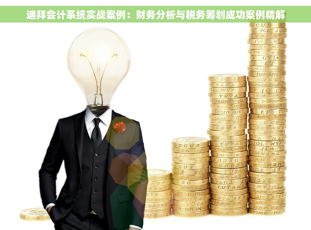 迪拜会计系统实战案例：财务分析与税务筹划成功案例精解