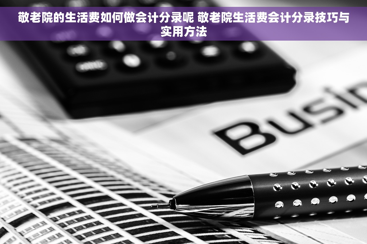 敬老院的生活费如何做会计分录呢 敬老院生活费会计分录技巧与实用方法