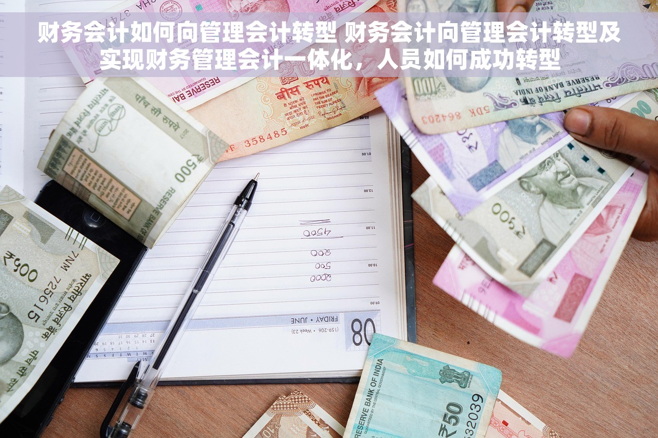 财务会计如何向管理会计转型 财务会计向管理会计转型及实现财务管理会计一体化，人员如何成功转型
