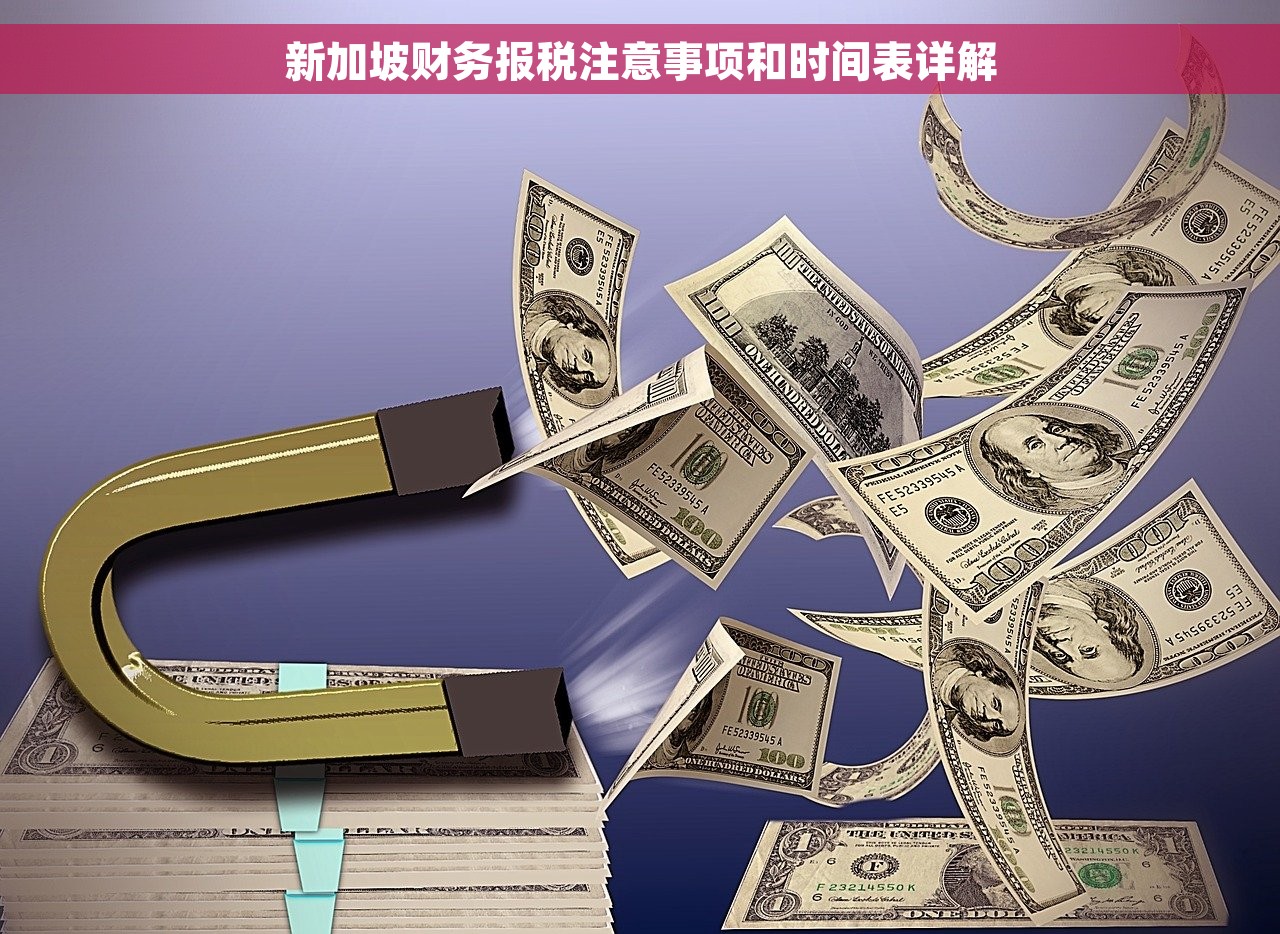 新加坡财务报税注意事项和时间表详解