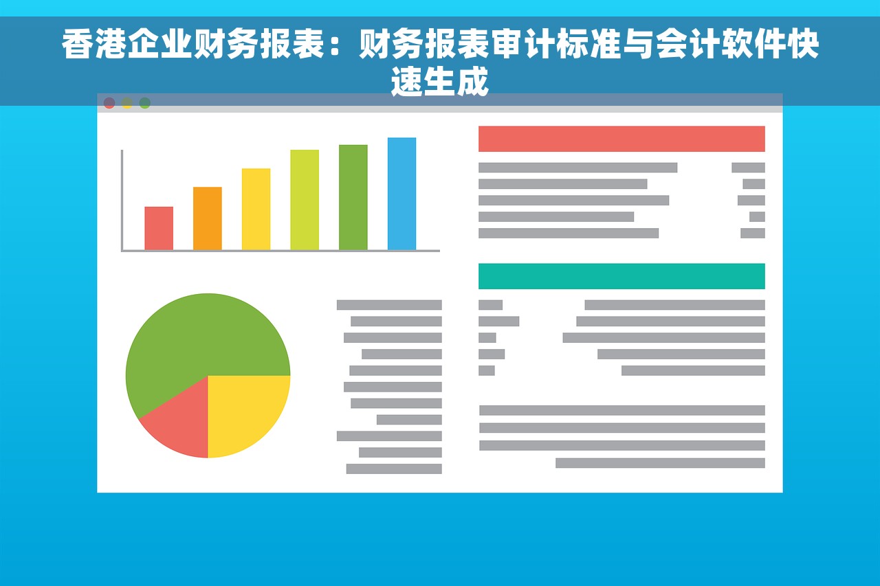 香港企业财务报表：财务报表审计标准与会计软件快速生成