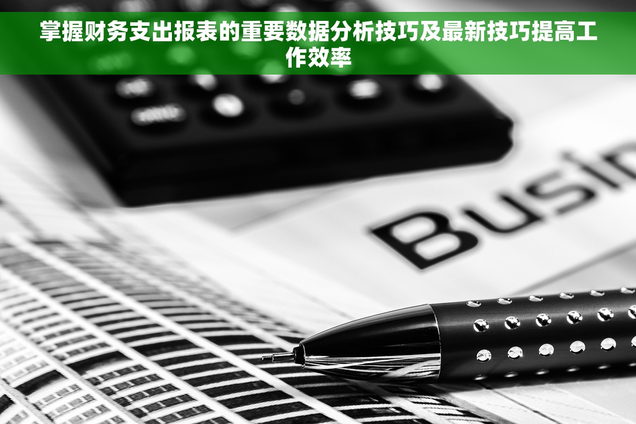掌握财务支出报表的重要数据分析技巧及最新技巧提高工作效率