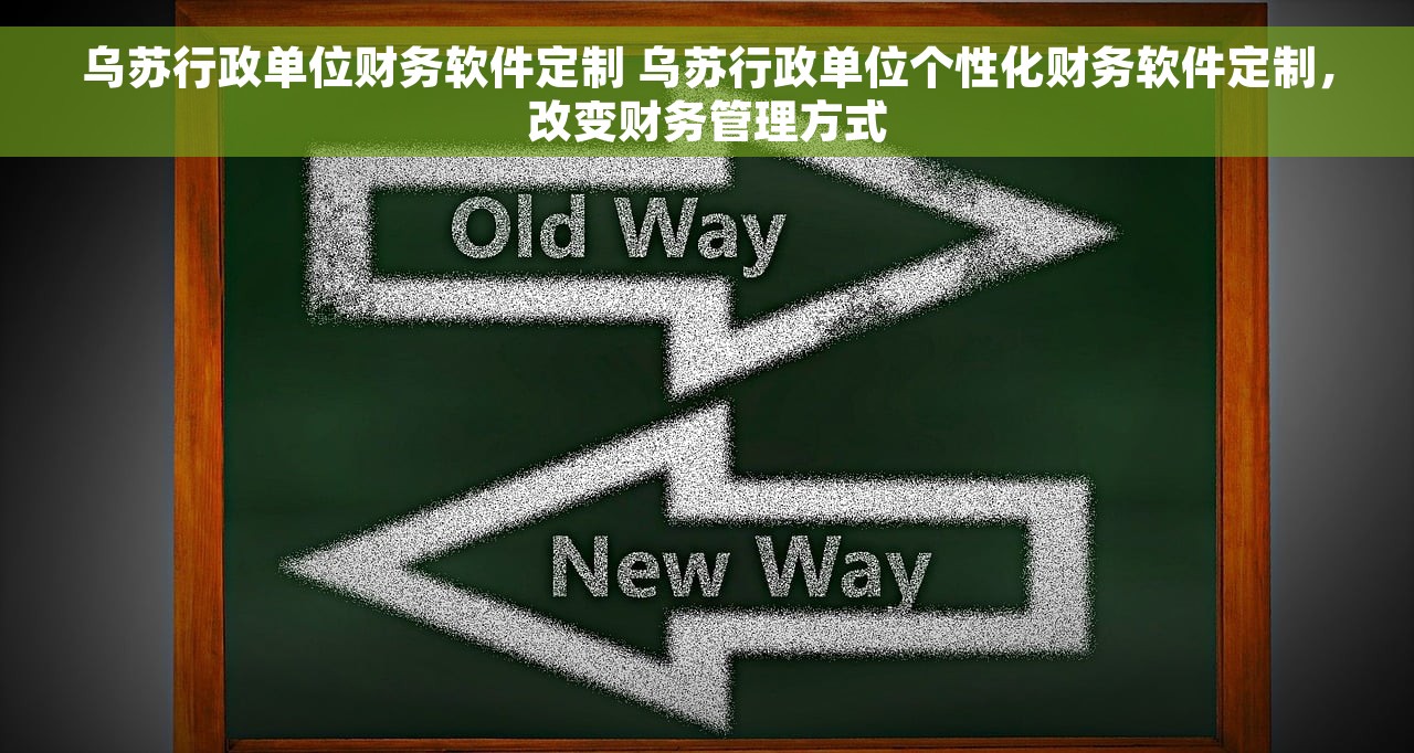 乌苏行政单位财务软件定制 乌苏行政单位个性化财务软件定制，改变财务管理方式