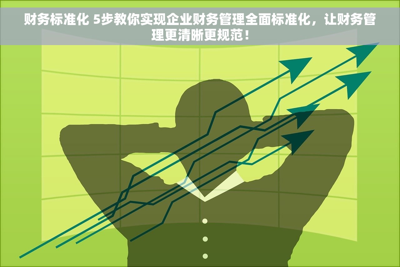 财务标准化 5步教你实现企业财务管理全面标准化，让财务管理更清晰更规范！