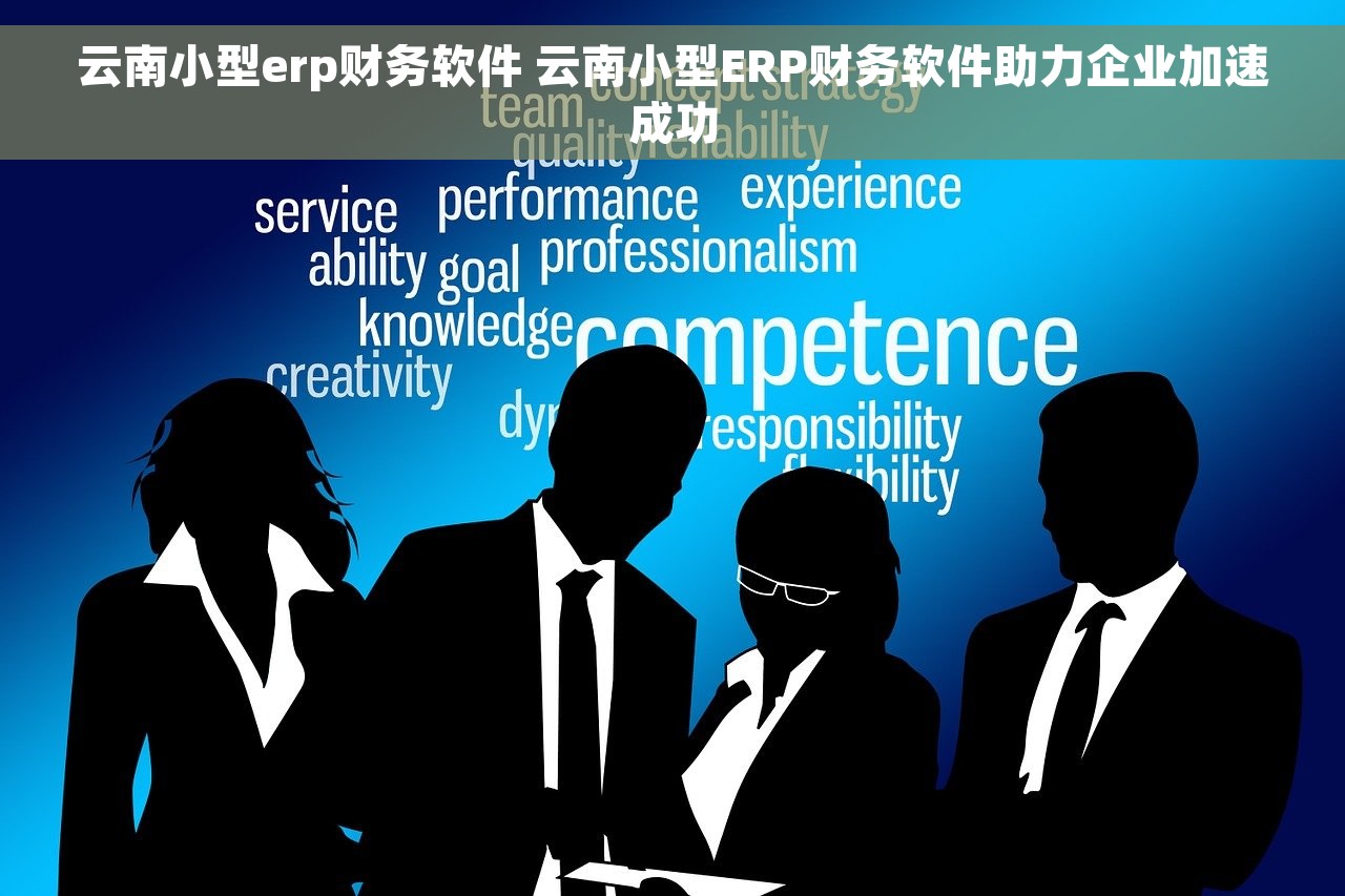 云南小型erp财务软件 云南小型ERP财务软件助力企业加速成功
