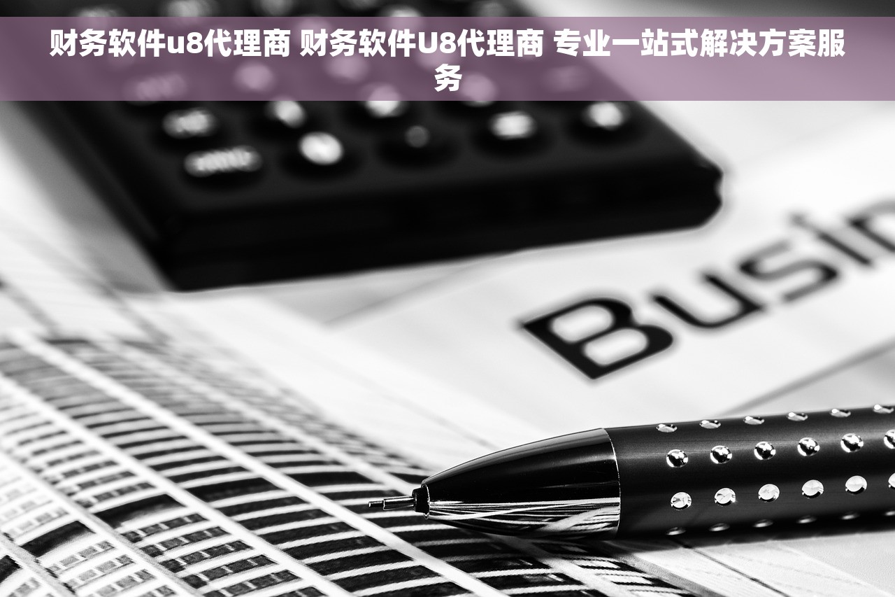财务软件u8代理商 财务软件U8代理商 专业一站式解决方案服务