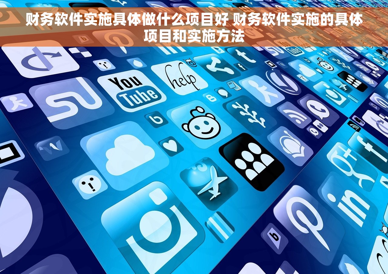 财务软件实施具体做什么项目好 财务软件实施的具体项目和实施方法