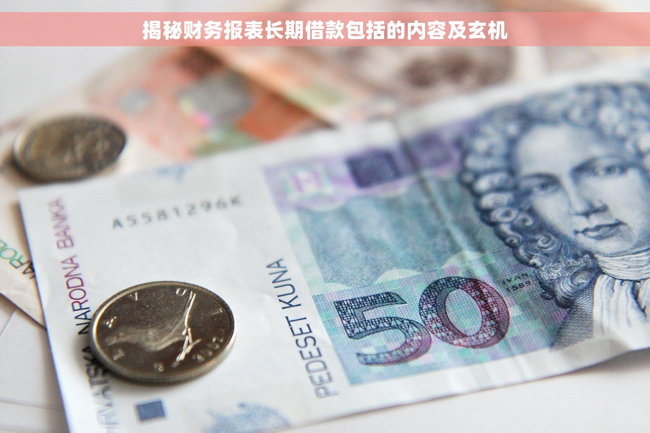揭秘财务报表长期借款包括的内容及玄机