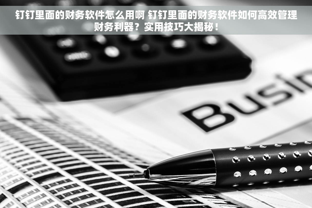 钉钉里面的财务软件怎么用啊 钉钉里面的财务软件如何高效管理财务利器？实用技巧大揭秘！